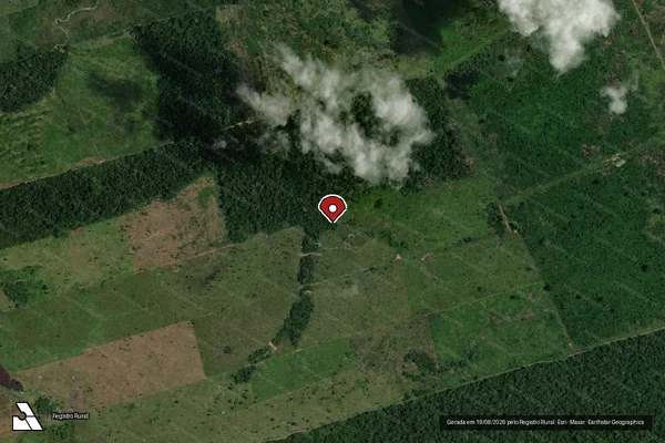 Imagem de satélite de Infração da Flora em Colniza - MT (marcador da localização)