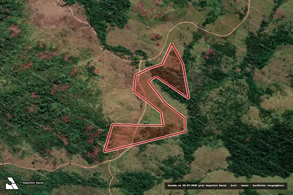 Imagem de satélite de Infração Ambiental em Novo Progresso - PA