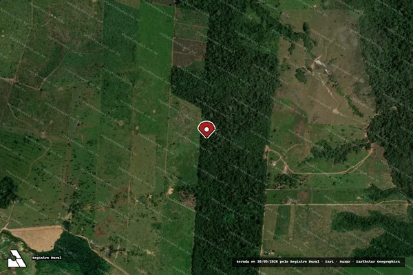 Imagem de satélite de Infração da Flora em Porto Velho - RO (marcador da localização)