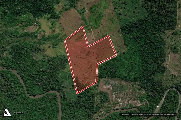 Imagem de satélite de Infração da Flora em Altamira - PA