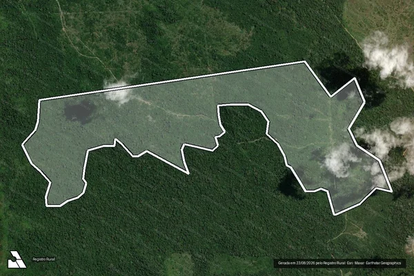 Imagem de satélite de Infração da Flora em Altamira - PA