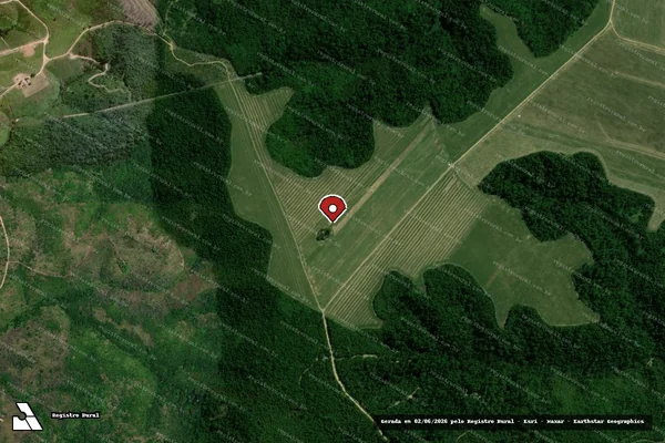 Imagem de satélite — Embargo IBAMA — Infração Ambiental - Rondon do Pará/PA