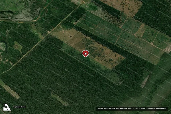 Imagem de satélite de Infração Ambiental em Costa Marques - RO (marcador da localização)