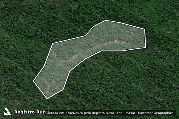Imagem de satélite — Embargo IBAMA — Infração da Flora - Itaituba/PA