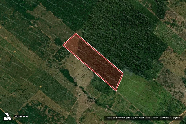 Imagem de satélite de Infração Ambiental em Porto Velho - RO