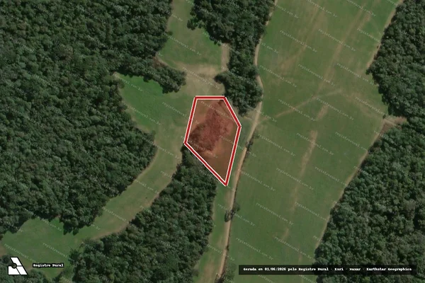 Imagem de satélite de Infração Ambiental em Fernandes Pinheiro - PR