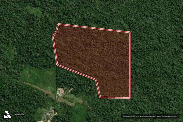 Imagem de satélite de Infração Ambiental em São Félix do Xingu - PA