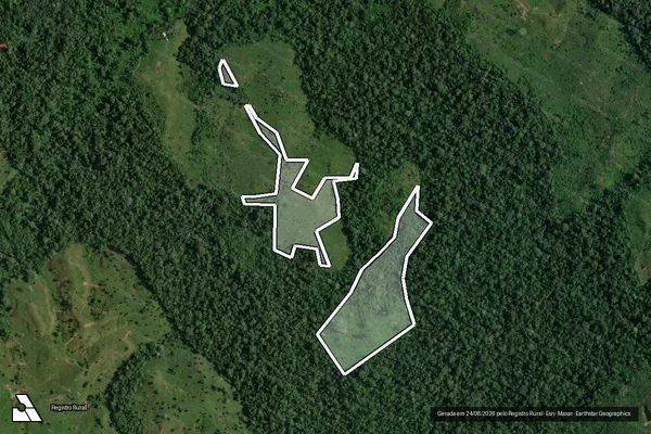 Imagem de satélite de Infração da Flora em Feijó - AC
