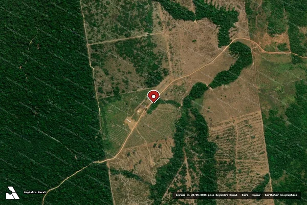 Imagem de satélite de Infração da Flora em Apiacás - MT (marcador da localização)