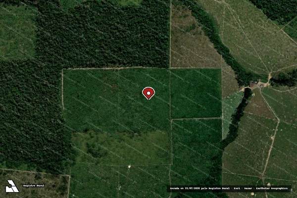 Imagem de satélite de Infração da Flora em Porto Velho - RO (marcador da localização)