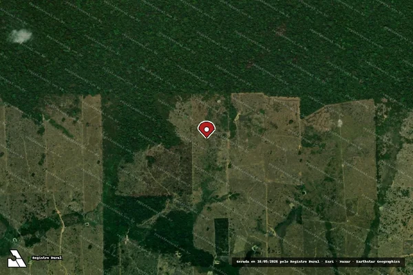 Imagem de satélite — Embargo IBAMA — Infração da Flora - Machadinho D'Oeste/RO