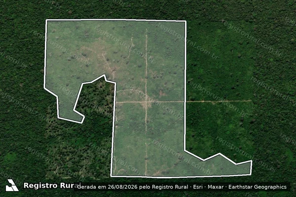 Imagem de satélite de Infração da Flora em Altamira - PA