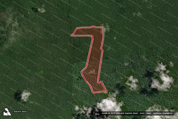 Imagem de satélite de Infração Ambiental em Senador José Porfírio - PA