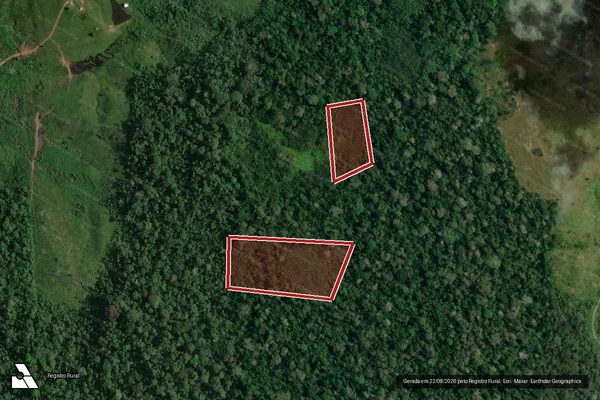 Imagem de satélite de Infração da Flora em Feijó - AC
