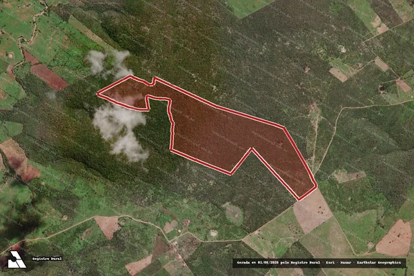 Imagem de satélite de Infração Ambiental em Porto da Folha - SE