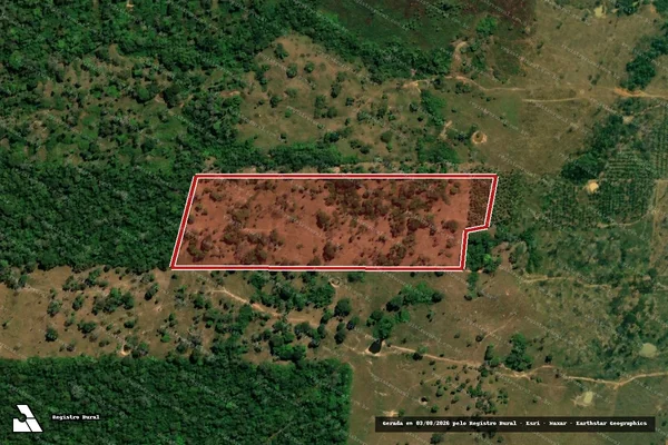 Imagem de satélite de Infração da Flora em Porto Velho - RO