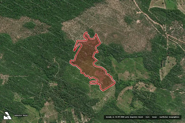 Imagem de satélite de Infração da Flora em Santarém - PA