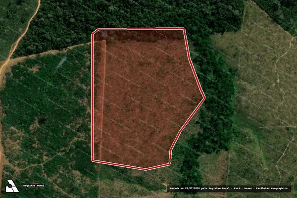 Imagem de satélite de Infração da Flora em Colniza - MT