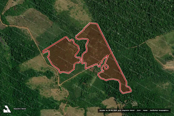 Imagem de satélite de Infração da Flora em Apuí - AM