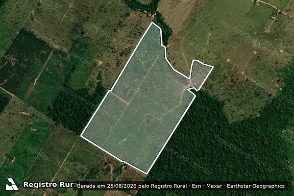 Imagem de satélite de Infração da Flora em Porto Velho - RO