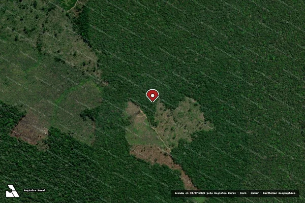 Imagem de satélite de Infração Ambiental em Apuí - AM (marcador da localização)