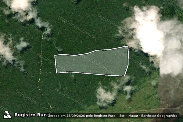 Imagem de satélite de Infração da Flora em Anapu - PA