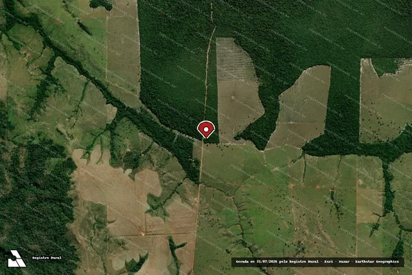 Imagem de satélite de Infração Ambiental em Alto Alegre dos Parecis - RO (marcador da localização)