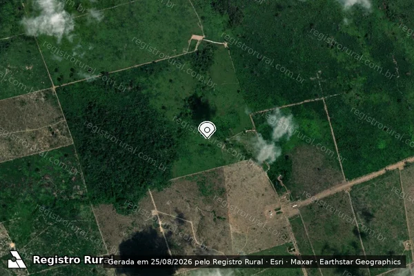 Imagem de satélite de Infração da Flora em Altamira - PA (marcador da localização)