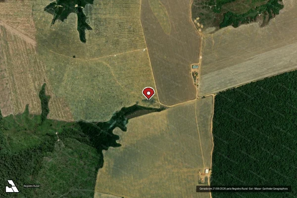 Imagem de satélite de Infração da Flora em Goianésia do Pará - PA (marcador da localização)
