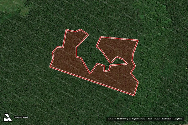 Imagem de satélite de Infração Ambiental em Canutama - AM
