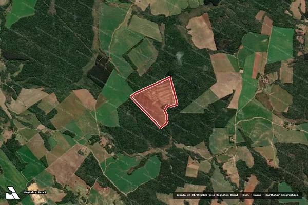 Imagem de satélite de Infração da Flora em Imbituva - PR