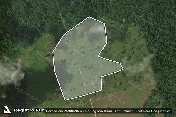 Imagem de satélite de Infração da Flora em Itaituba - PA