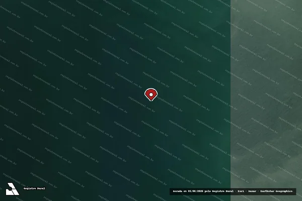 Imagem de satélite de Infração Ambiental em Brasília - DF (marcador da localização)