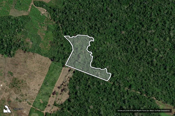 Imagem de satélite de Infração da Flora em Senador José Porfírio - PA