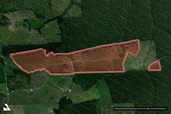 Imagem de satélite de Infração da Flora em Portel - PA
