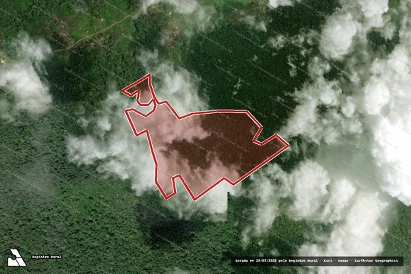 Imagem de satélite de Infração da Flora em Caracaraí - RR