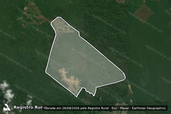 Imagem de satélite de Infração Ambiental em Novo Progresso - PA