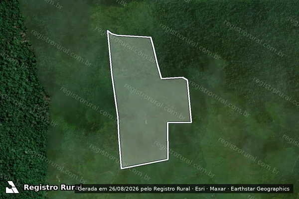 Imagem de satélite de Infração da Flora em Pacajá - PA
