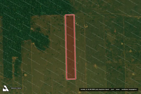 Imagem de satélite de Infração da Flora em Alto Paraíso - RO