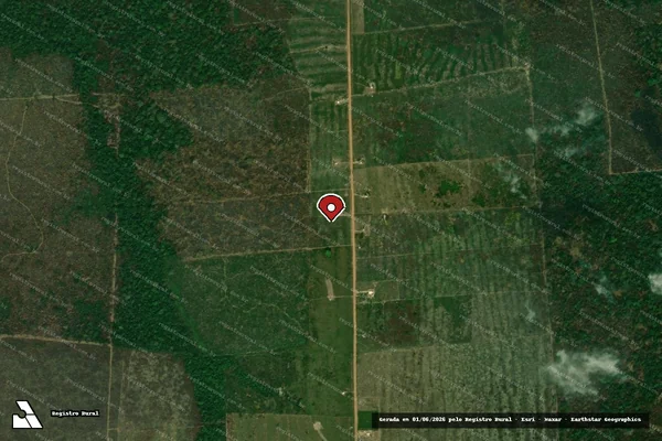 Imagem de satélite de Infração Ambiental em Porto Velho - RO (marcador da localização)