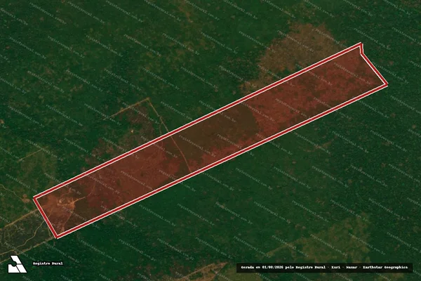Imagem de satélite de Infração da Flora em Porto Velho - RO