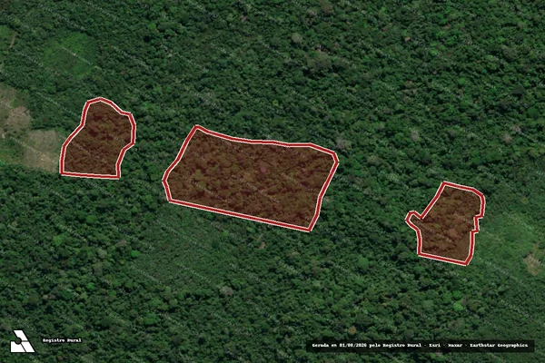 Imagem de satélite de Infração da Flora em Pacajá - PA