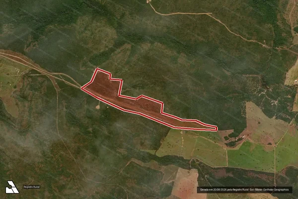 Imagem de satélite de Infração da Flora em Gaúcha do Norte - MT