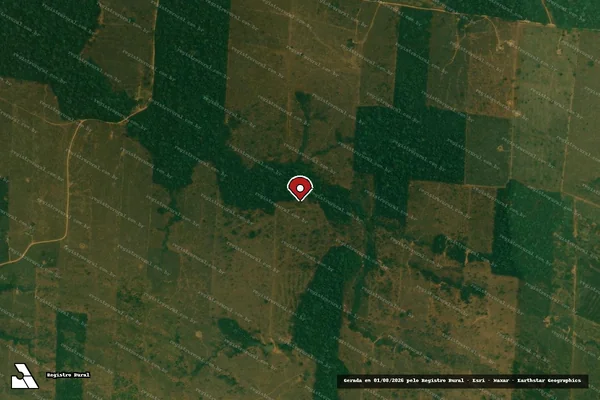 Imagem de satélite de Infração da Flora em Ariquemes - RO (marcador da localização)