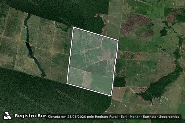 Imagem de satélite de Infração da Flora em Lábrea - AM