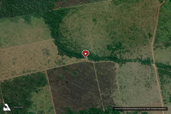 Imagem de satélite de Infração Ambiental em Manicoré - AM (marcador da localização)