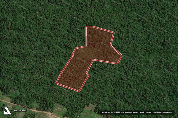 Imagem de satélite de Infração da Flora em Anapu - PA