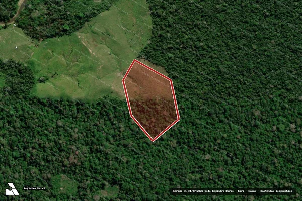 Imagem de satélite — Embargo IBAMA — Infração da Flora - Marechal Thaumaturgo/AC
