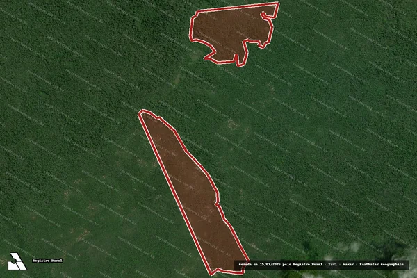 Imagem de satélite de Infração da Flora em Almeirim - PA