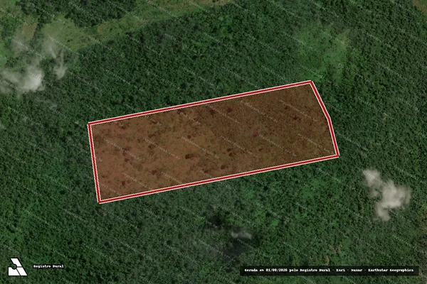 Imagem de satélite de Infração Ambiental em São Félix do Xingu - PA